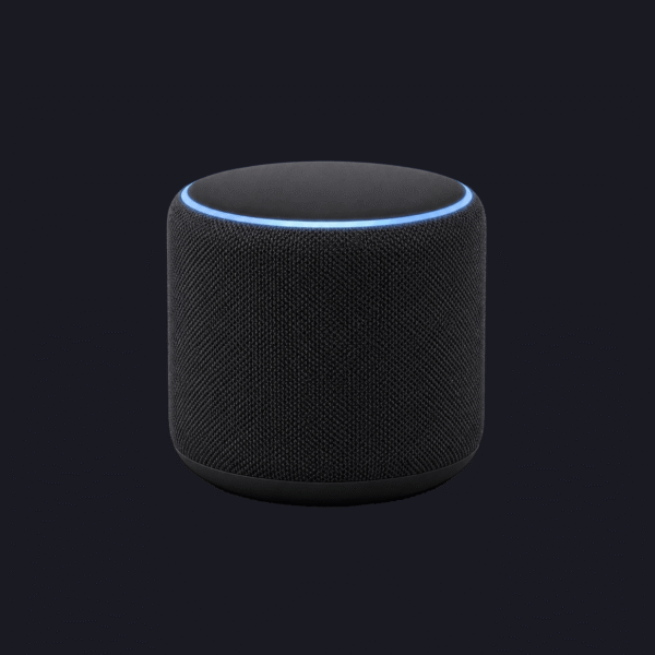 EchoCore Speaker